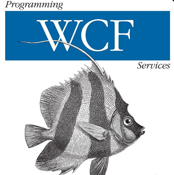 Простой пример использования Windows Communication Foundation на языке C# windows communication foundation пример программы