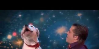 Видео, как собака поет песню Уитни Хьюстон на конкурсе талантов