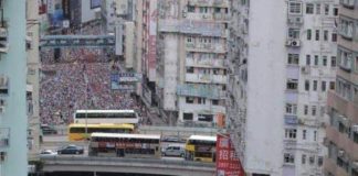 19 фотографий невиданных вещей, глядя на которые вы скажите: «Да лаааадно!»