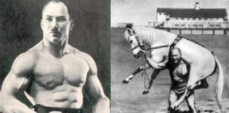 Программа силовой тренировки богатыря Александра Засса