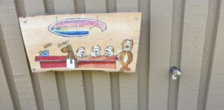 10 фото странных вещей, которые люди видели на пляже