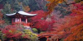 Китайский гороскоп на 12 июня 2019