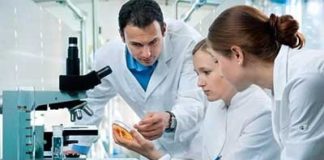 В США у женщины с симптомами рака мозга был обнаружен ленточный червь