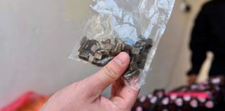 В России взялись за антинаркотическое законодательство после дела Голунова