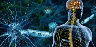 Рассеянный склероз: симптомы, управление, новые исследования