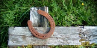 Знаки Зодиака, которым в июле будет сопутствовать Удача