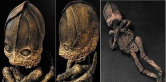 Ученые нашли место высадки гуманоида Алешеньки