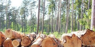 Предсказаны скорые смертоносные эпидемии