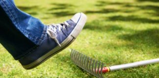 Гороскоп на 25 июня 2019 года