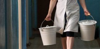 Бухгалтер российского детсада повысил себе зарплату и заработал миллионы