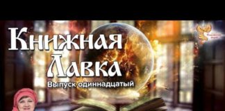 Книжная лавка. Выпуск 11. Елена Андреева