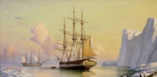 Есть ли у России особые права и интересы в Антарктиде?