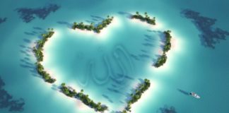 Павел Глоба назвал знаки Зодиака, которые всегда на первое место ставят любовь