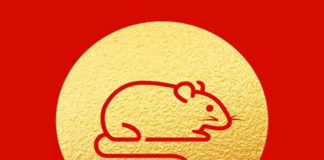 2020 год — високосный или нет