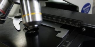 Найдены следы охватившей всю Европу эпидемии чумы