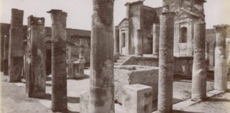 На дату гибели Помпеев указали рыбные скелеты