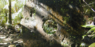 На острове в Тихом океане нашли древнейший «биткоин»