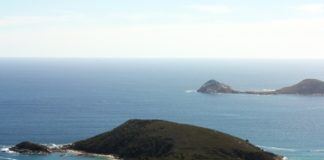 Пресная вода обнаружена в Атлантическом океане