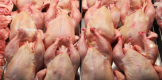 В Японии соскучились по российской курятине