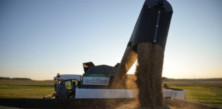 Китай готов увеличить импорт сельхозпродукции из РФ