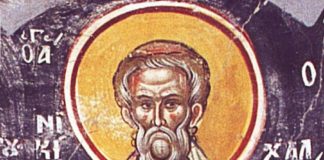 Никита Гусятник отмечают 10 июня и является покровителем домашней птицы