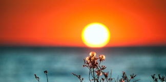 День летнего солнцестояния в 2019 году состоится в конце июня