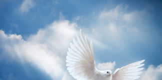 Духов день в 2019 году: обычаи и приметы