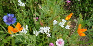 Лучшие летние обряды: на удачу, счастье в любви и успех в работе