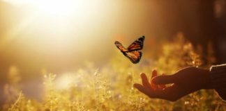 7 «Волшебных» фраз, которые говорят себе счастливые люди