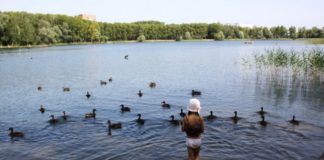 Где искупаться в Подмосковье в 2019 году без вреда для здоровья