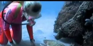 Редкие видеокадры: дружба дайвера и пятнистой мурены