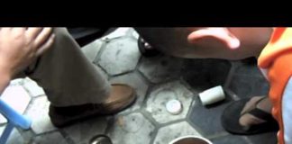 Как проходит чемпионат Китая по боям сверчков