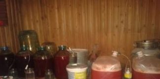 Как сделать вкусное сливовое вино: этапы, описание, фото