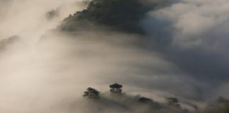 Американский историк вычислил самый страшный год в истории человечества