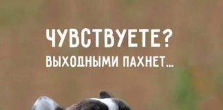 Таро-прогноз на 5 июля