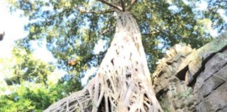 Юлия Барановская уехала с детьми в Камбоджу