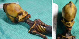 Гуманоид Атакамы — загадочная мумия из американской пустыни