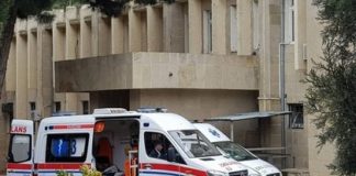 Россиян придавило веткой 500-летней чинары в Азербайджане