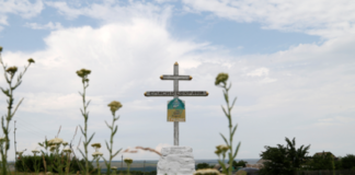 В деле о гибели «Боинга» над Донбассом появились новые свидетели