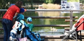 Программу маткапитала задумали сделать бессрочной