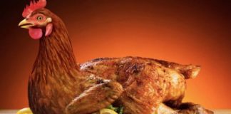 В США сбежавшая из тарелки куриная грудка довела женщину до истерики