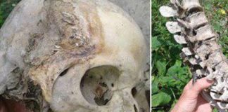 Россиянин совершил «непристойные действия» с черепами и заинтересовал полицию