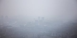 Названо условие появления в Москве дыма от сибирских лесных пожаров