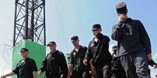 Точно: по каким статьям будет проходить амнистия в 2018 году