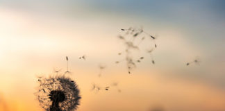 10 цитат, которые напомнят вам: любой конец — это новое начало