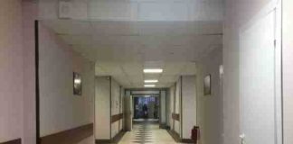 Восемь человек скончались в Грузии от свиного гриппа