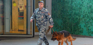 Полиция в Москве проверяет сообщения о минировании метро и парков