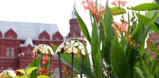 Фестиваль Цветочный джем в 2019 году открылся в Москве на нескольких площадках