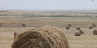 Какой сегодня праздник 20 июля 2019: церковный праздник Авдотья Сеногнойка отмечают в России