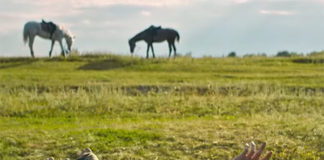 Появился трейлер фильма «Команда мечты» о современных Ромео и Джульетте